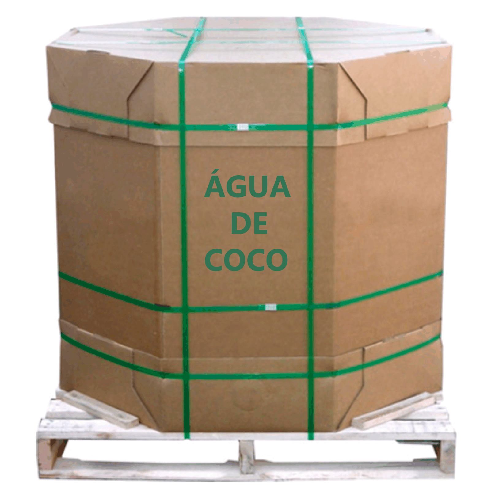 Gelo Água Coco Integral Puri 1,02Kg